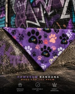 Playful Paws Bandana