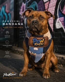 Denim Patch Bandana