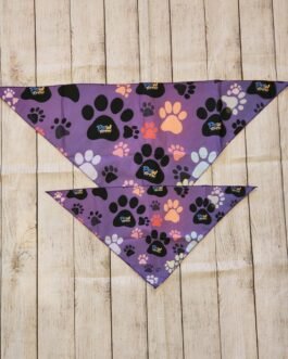 Playful Paws Bandana